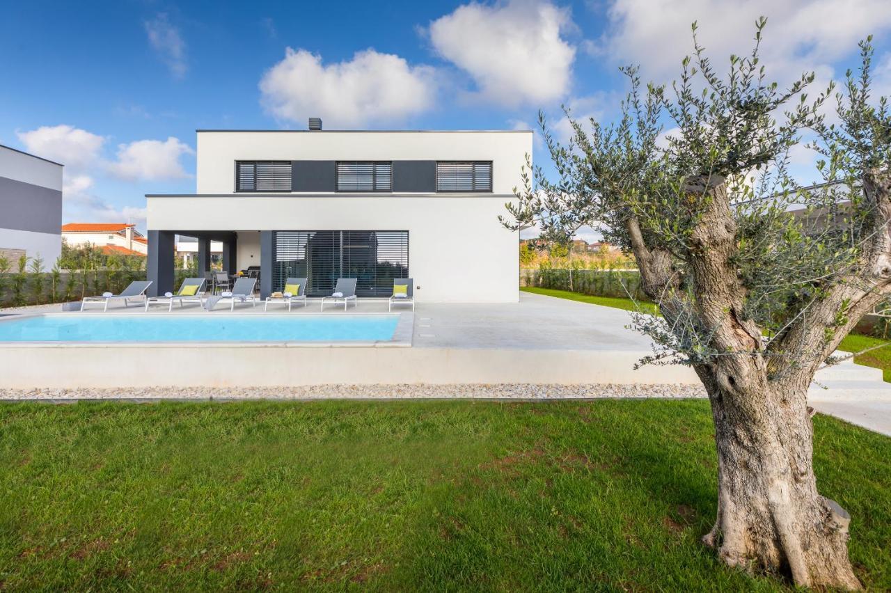 Amazing Private Villa With Outdoor Swimming Pool In Vodnjan Εξωτερικό φωτογραφία